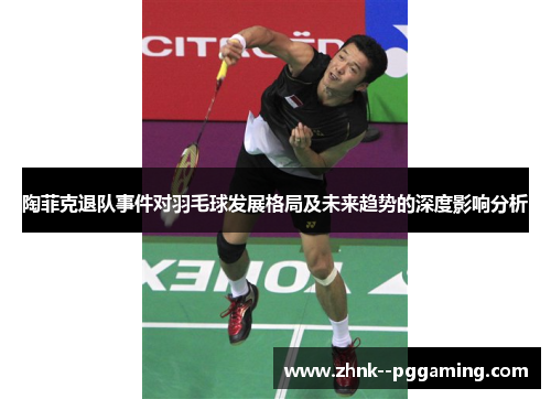 陶菲克退队事件对羽毛球发展格局及未来趋势的深度影响分析