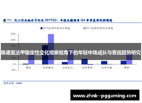 佩德里法甲稳定性变化观察视角下的年轻中场成长与表现趋势研究